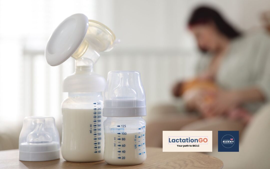 Why Lactation Training Is the Skill Every Maternity Practitioner and Nanny Needs